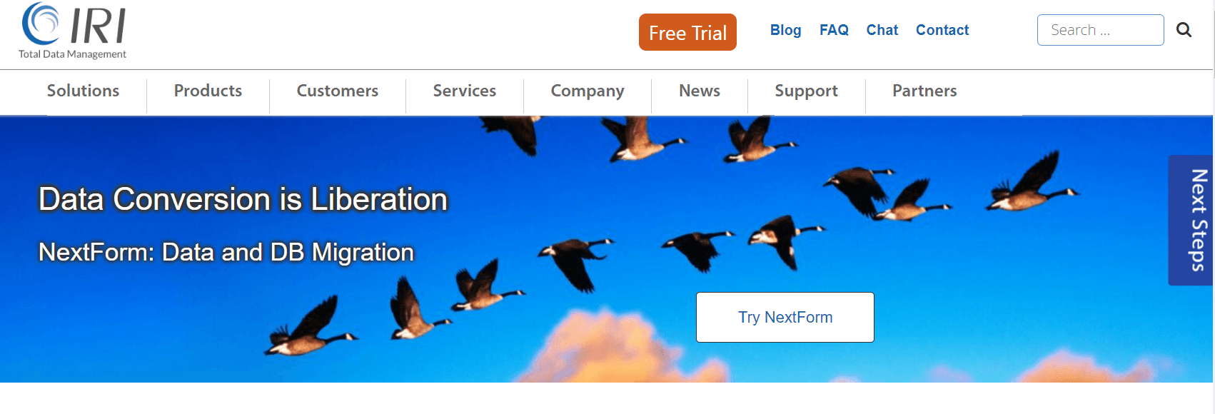 Data Migrations Solution - IRI NextForm